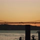 Silhouette of a city harbor and a bridge at night with seagulls flying in the background - VideoHive Item for Sale