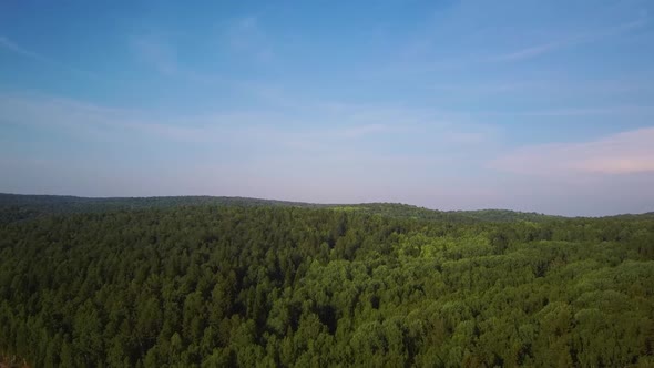 Aerial Video of Forest in Summer at Sunset. Countryside