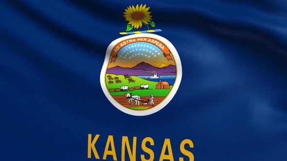 Kansas Flag