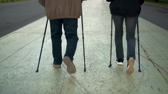 An Elderly Couple is Engaged in Nordic Walking in the Park