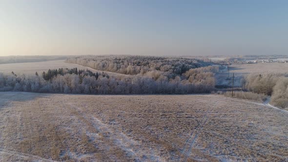 Winter Landscape in Countryside