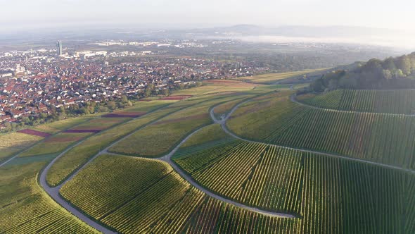 Vineyards at Kappelberg in autumn, Rems valley, Germany