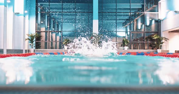 Female Swimmer Swims in the Pool Young Woman Swimming and Training in the Water Back View  50 Fps