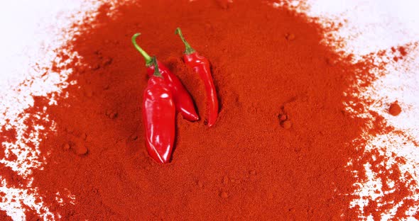 Fresh Red Chili Peppers, capsicum annuum and Bird Pepper, capsicum frutescens