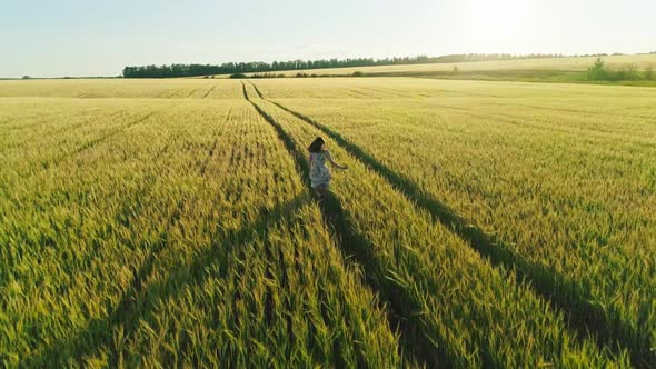 Aerial Video of a Girl in a Dress in a Wheat Field at Sunset