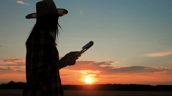 Silhouette Woman Farmer in Hat Standing with Wheat of Harvest Against the Background of a Sunset