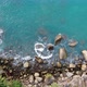 Top view Wave sea water turquoise rolling slow crash rocks coconut trees background. - VideoHive Item for Sale