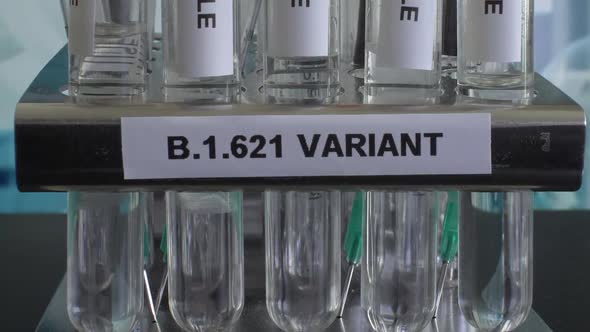 B.1.6521 Test Tube Variant Samples In Rack. Close Up, Slow Pan Up