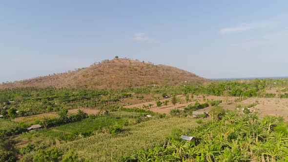 Agricultural Land in Indonesia