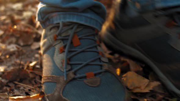 Man Walks on Dry Leaves at Sunset