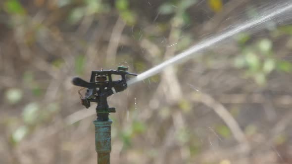 Water Sprinkler