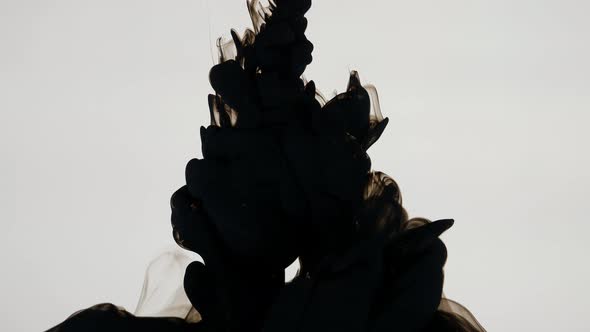 Dissolution of Black Paint on a White Background