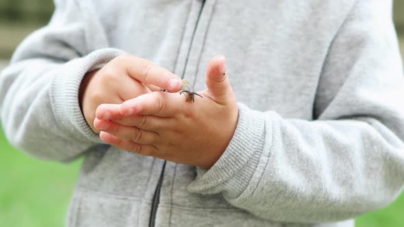 Striped Garden Snail on Child's Kid Hands