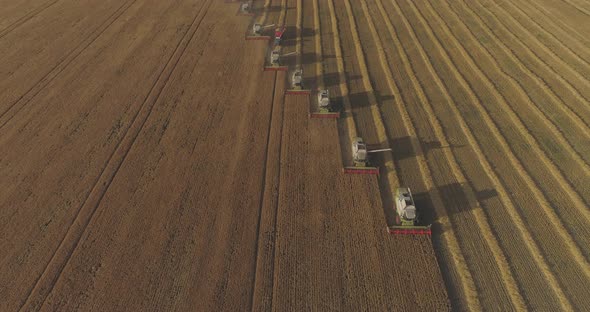 Aerial view of combines on a field