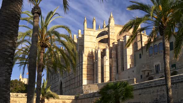 Walking Among Palms By the Palma Cathedral, Aka Cathedral of Santa Maria of Palma, Aka La Seu, in
