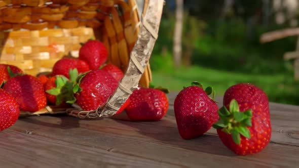 Closeup of the Basket with Large Juicy Strawberries Falling on the Wooden Table