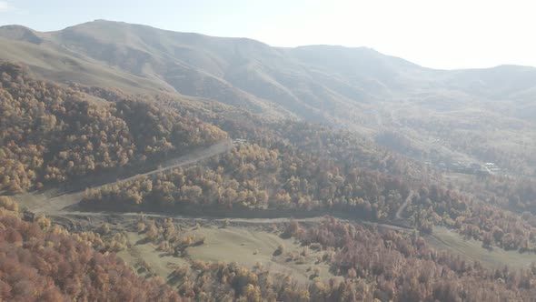 Flying over beautiful mountains in Bakuriani. Aerial view of Autumnal forest. Georgia