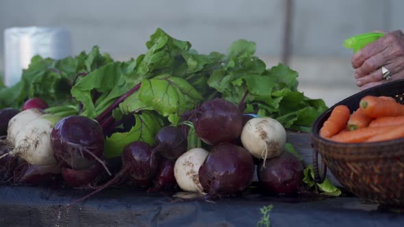 Beets getting sprayed with water (slow motion) at local farmers market.