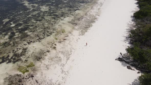 Lonely Woman Walking on the Beach at Low Tide Low Tide in Zanzibar Slow Motion