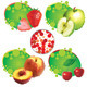 Summer Fruit - GraphicRiver Item for Sale