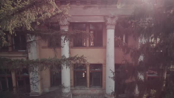 Fir Trees Near Decorated Facade of Abandoned Building