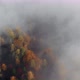 Autumn Forest in the Fog - VideoHive Item for Sale