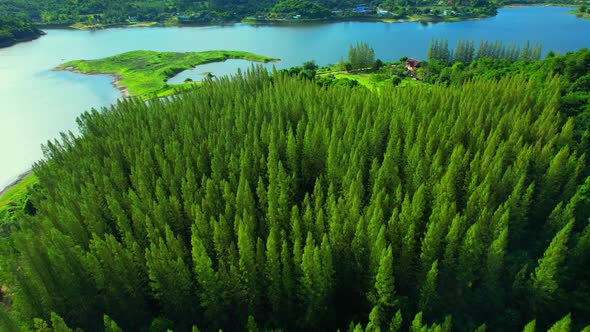 Drone flying over a pine tree in a beautiful lake