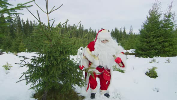 Santa walking in a forest