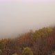 Autumn Day Over A Misty Forest 3 - VideoHive Item for Sale
