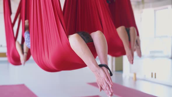 Women Lie Relaxed in Hammocks and Hold Hands Above Head