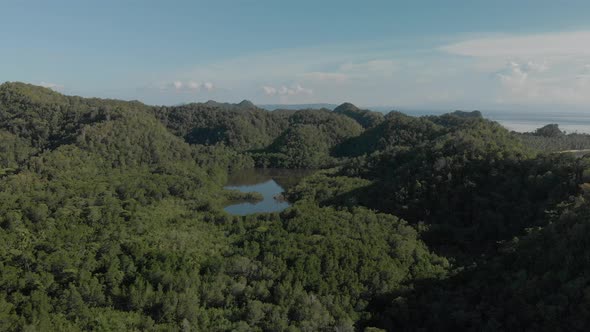 Beautiful aerial drone shot above dense  green forest in island in siargao the philippines. sunny da