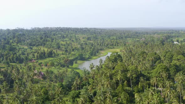 Small lake in lush palm paradise in exotic Zanzibar jungle, drone shot.