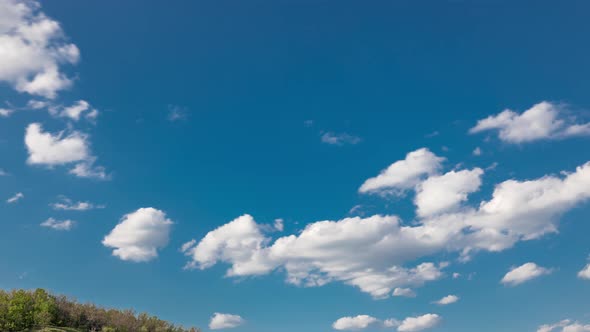 Green Field and Blue Sky with White Cloud Timelapse