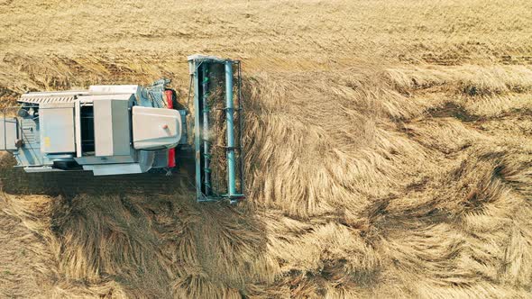 Top View of a Combine Riding Along the Field and Harvesting Rye