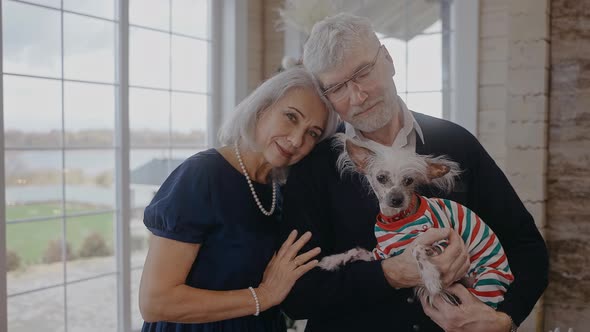 Grandparents Stand with Dog on Their Hands and Look at the Camera at Christmas