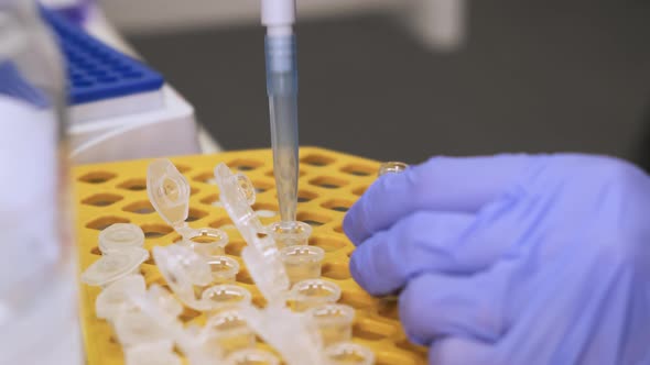 Chemists Mixing Chemicals To Develop Vaccine or Pharmaceuticals Against Coronavirus at the Lab