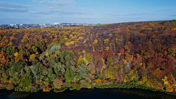 Early Autumn in Forest Aerial Top View