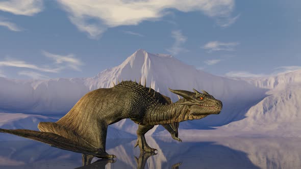 Medieval Knight Fights a Firebreathing Dragon in the Background alt