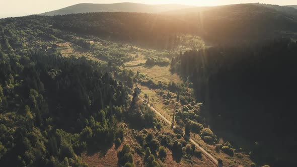 Aerial View Pine Forest in Mountains Sun Beams