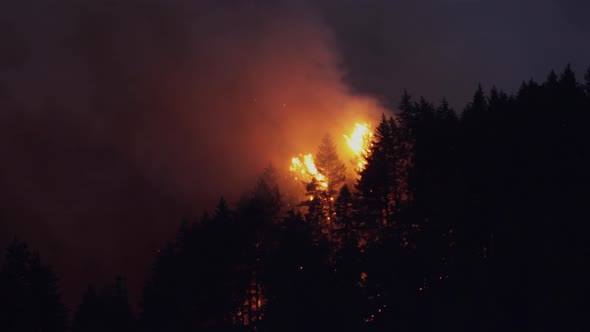 Forest Fire Near Portland Oregon