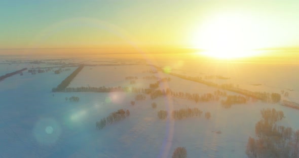 Aerial Drone View of Cold Winter Landscape with Arctic Field, Trees Covered with Frost Snow and