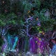 Fairy Forest - VideoHive Item for Sale