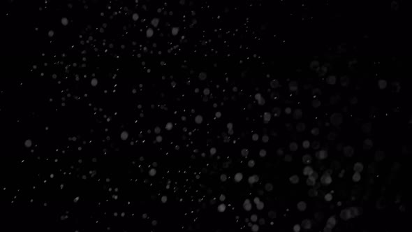 Particles (2K)