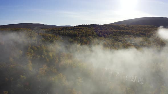 Flying above misty and foggy forest full with autumn colors.