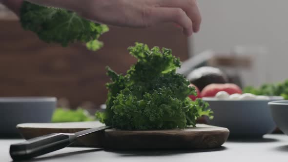 Slow Motion Man Make Salad with Kale Mozzarella Avocado and Cherry Tomatoes Tear Kale
