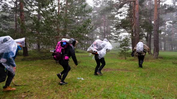 Hikers Running In The Rainforest