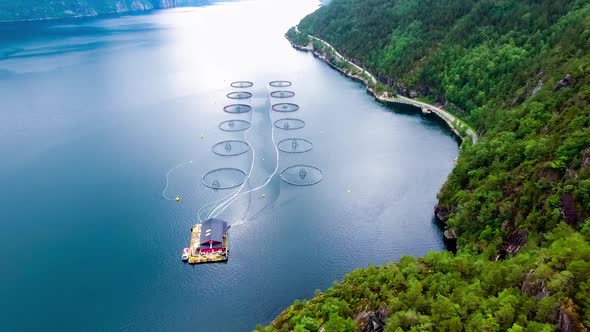 Aerial Footage Farm Salmon Fishing in Norway