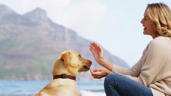 Happy mature woman playing with dog on the beach