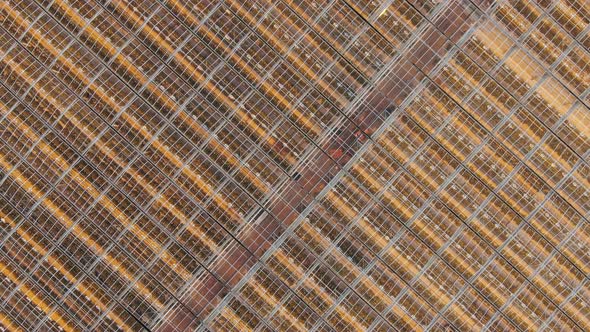 Transparent Roofs of Greenhouses and Passway with Workers