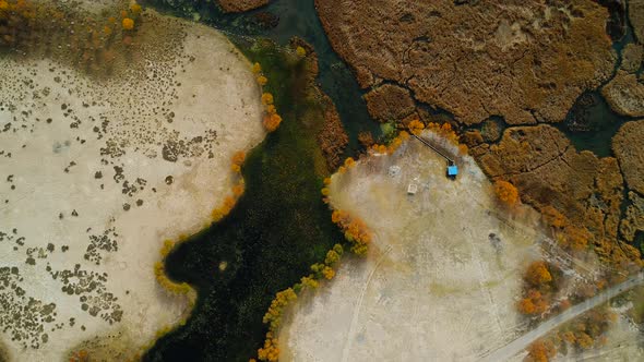 Aerial View Of Reeds On The Lake